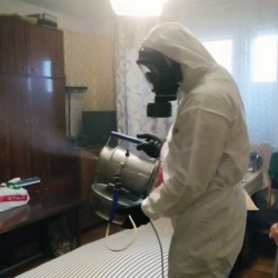 Дезинфекция от клопов в Быково