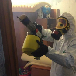 Уничтожение клопов в квартире. Быково